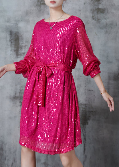 Diy Rose Sequins Tie Waist Tulle Day Dress Spring